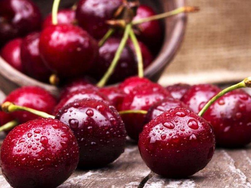 Вишня купить саженцы из питомника в Оренбурге